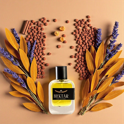 Spicy vanilla perfume, Stronger With You tone