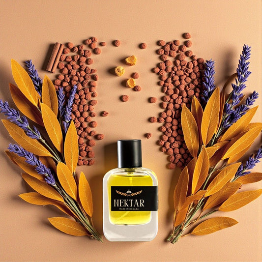 Spicy vanilla perfume, Stronger With You tone